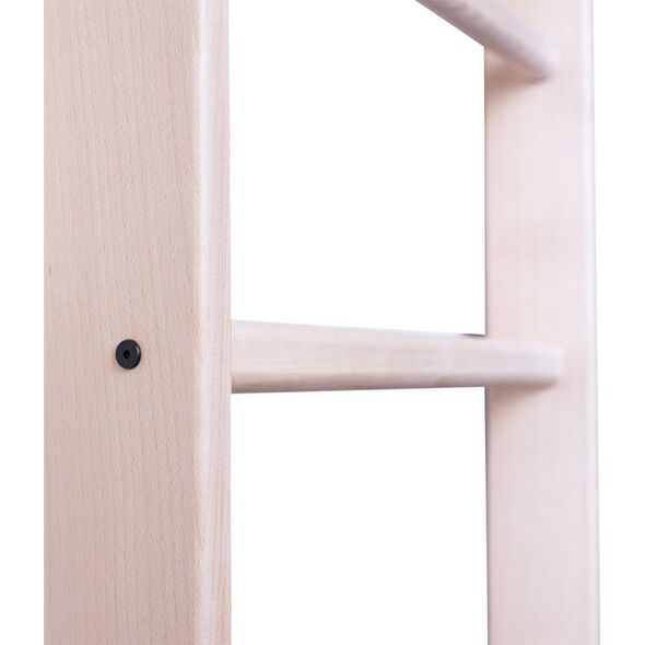 BenchK Drabinka gimnastyczna 220x67cm (830276)