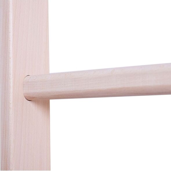 BenchK Drabinka gimnastyczna 220x67cm (830276)