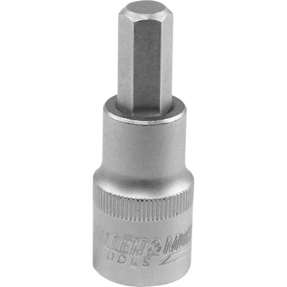 Dedra Klucz trzpieniowy Hex 1/2"" H14, L100mm