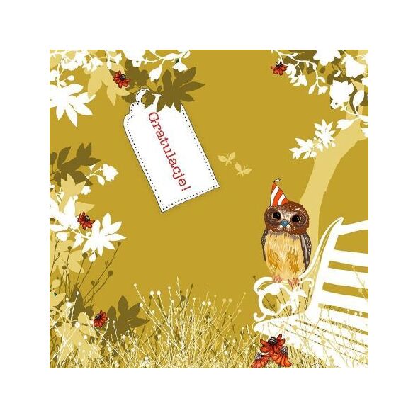 Clear Creation Karnet Swarovski kwadrat CL3410 Gratulacje! Sowa