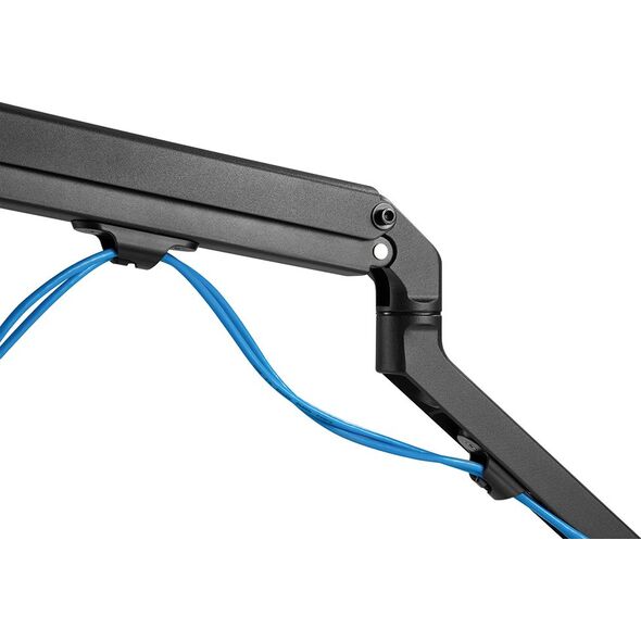 Neomounts Uchwyt biurkowy na monitor 17" - 27" (FPMA-D650BLACK)