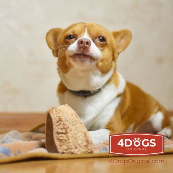 4DOGS 4DOGS GRYZAK Z KORZENIA WRZOŚCA roz.S