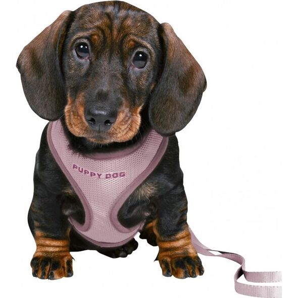 Trixie Miękkie szelki dla szczeniąt ze smyczą Junior, 26–34 cm/10 mm, 2.00 m, liliowe