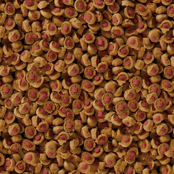 Sera Koi Professional Spring/Autumn Food 1.000 g - pokarm specjalny