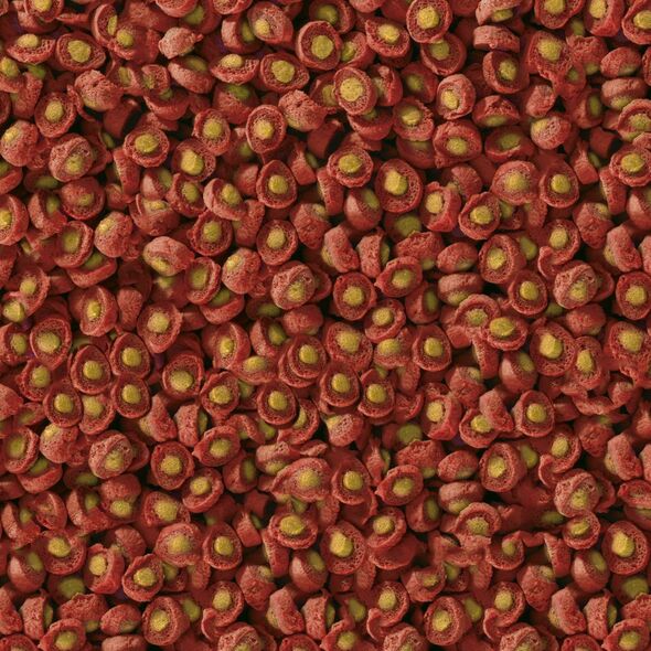 Sera Koi Professional Spring/Autumn Food 1.000 g - pokarm specjalny