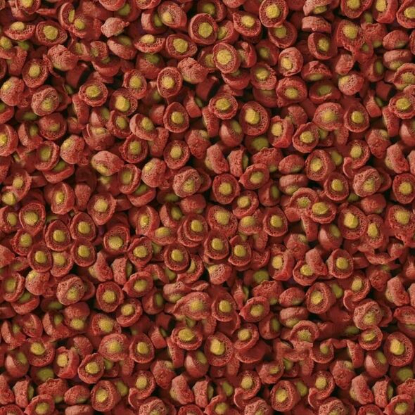 Sera Koi Professional Spring/Autumn Food 2.200 g - pokarm specjalny