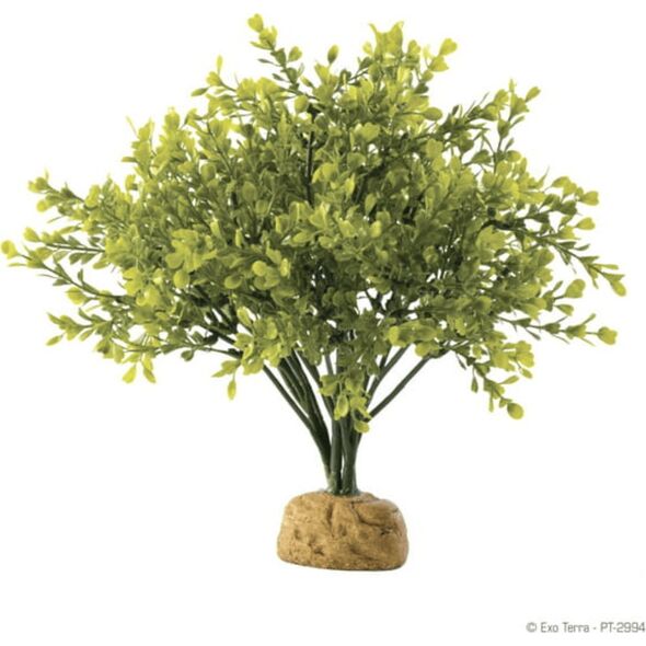 Exo Terra Roślina sztuczna – Boxwood Bush