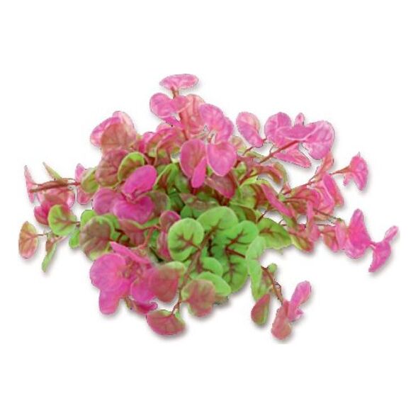 Happet HAPPET ROŚLINA FOLIA 10CM / 1F11
