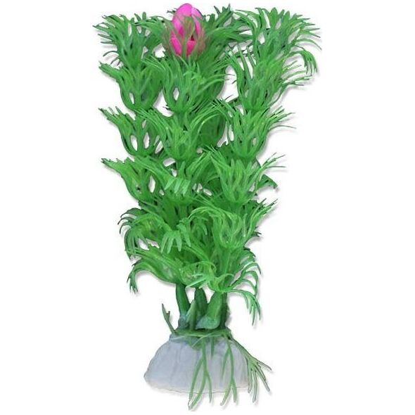 Happet HAPPET ROŚLINA 10cm 1-b06