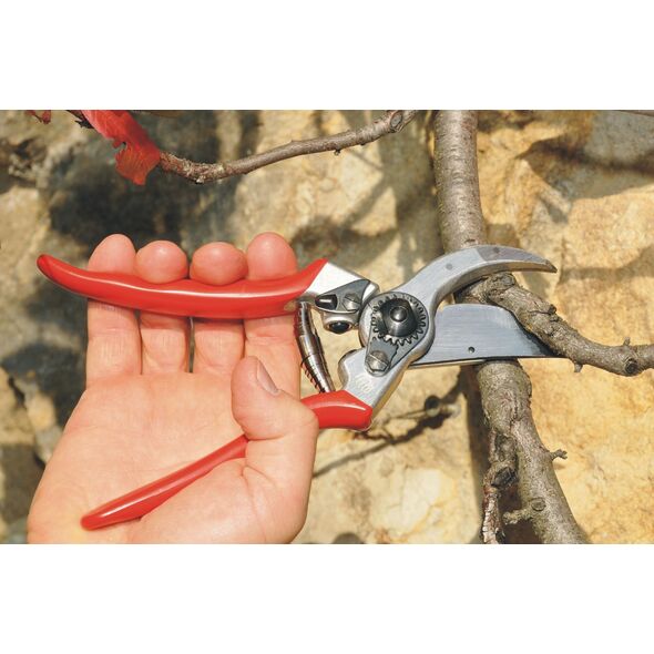 Sekator Felco 2 Classic nożycowy