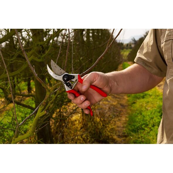 Sekator Felco 2 Classic nożycowy
