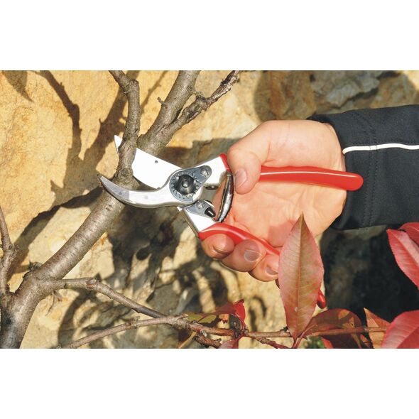Sekator Felco 2 Classic nożycowy