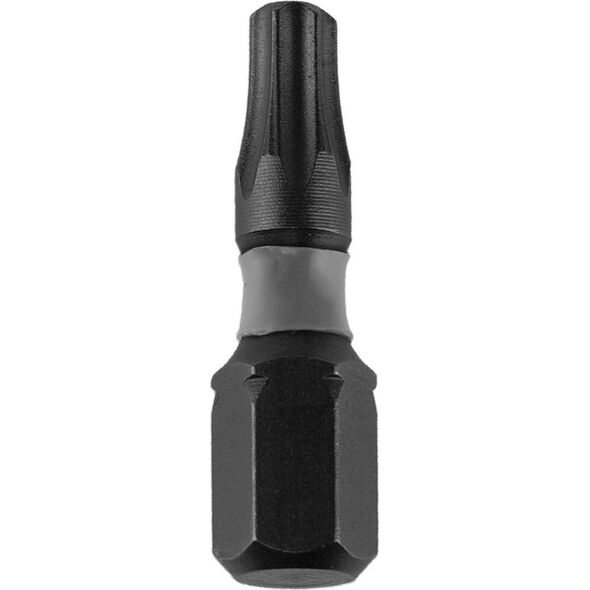 Dedra Końcówki wkrętakowe udarowe Torx T20x25mm, 2szt blister