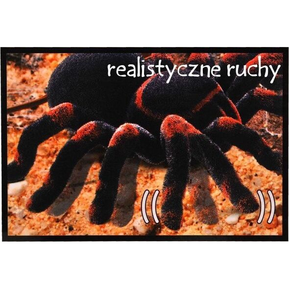 Jokomisiada Zdalnie sterowany PAJĄK tarantula pilot RC0251
