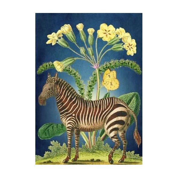 Madame Treacle Karnet B6 z kopertą Zebra