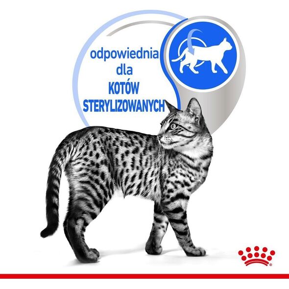 Royal Canin ROYAL CANIN Indoor Sterilised Jelly saszetka 12x85g