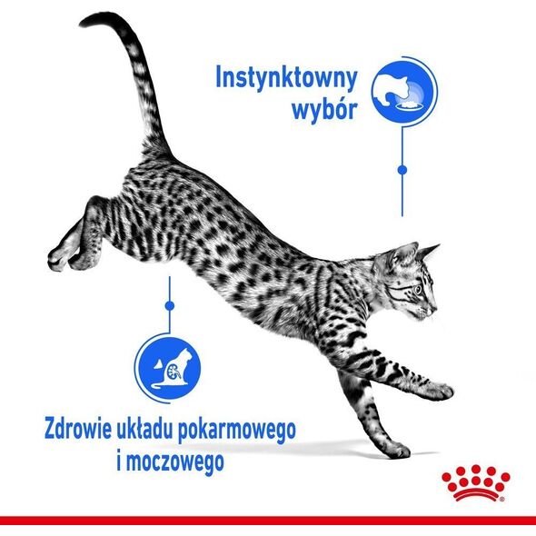 Royal Canin ROYAL CANIN Indoor Sterilised Jelly saszetka 12x85g