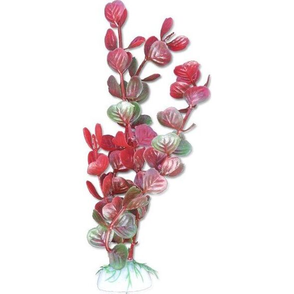 Happet Roślina blister 20cm 2b53 Happet