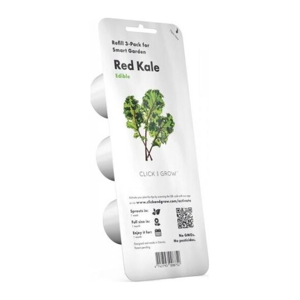 Click And Grow Click&Grow Nasiona Smart Soil jarmuż 3pak