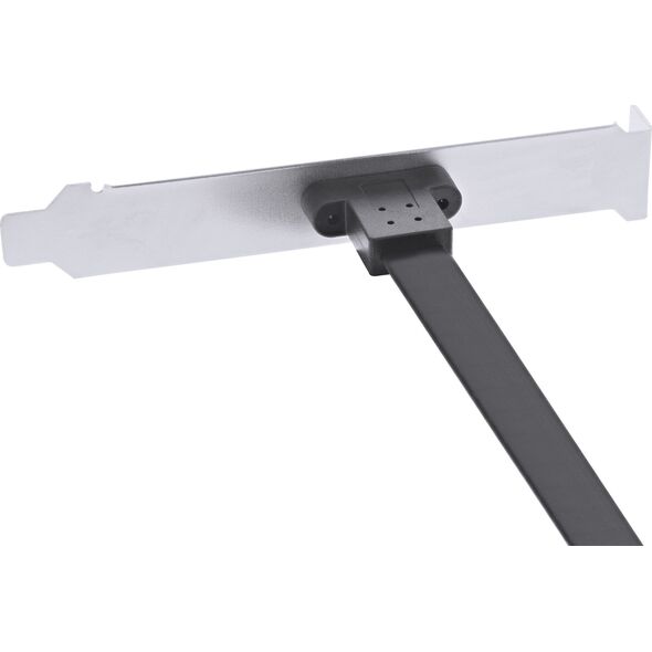 InLine InLine Slotblende USB Typ-C zu USB 3.1 Frontpanel Key-A intern, 0,3 m