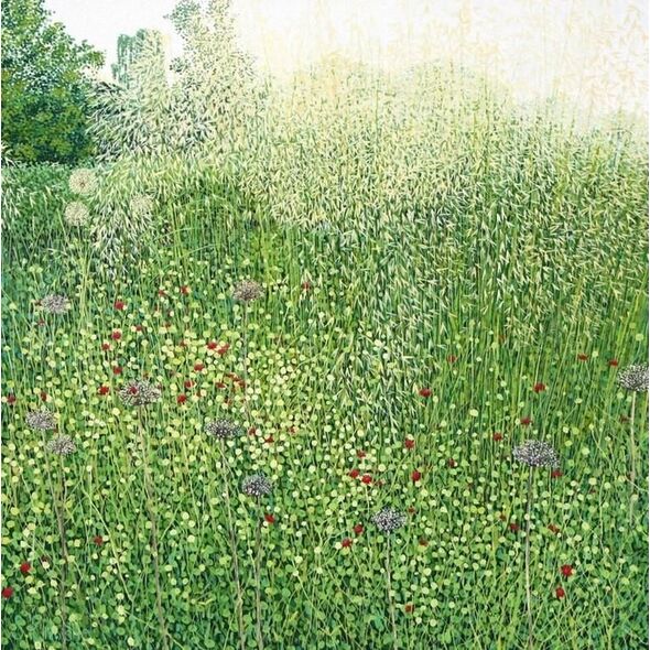 Susan Entwistle Karnet z kopertą Trawy Harlow Carr