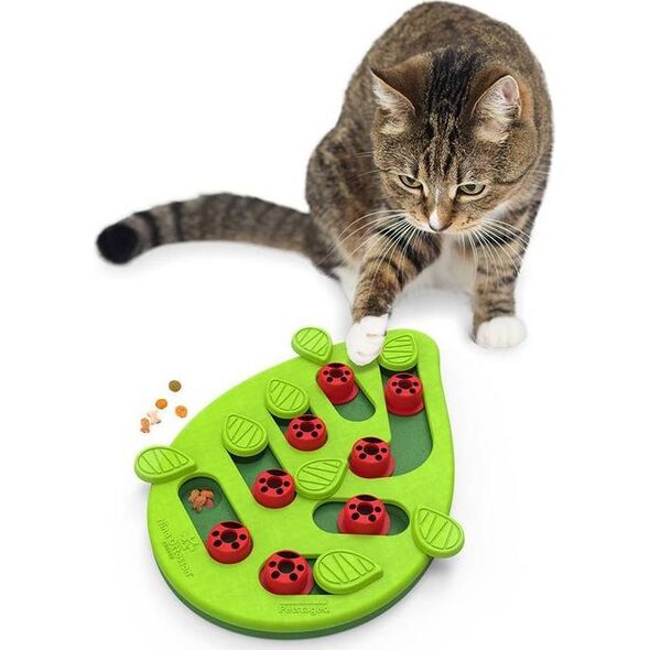 NINA OTTOSON NINA OTTOSON CAT BUGGIN OUT Level:2