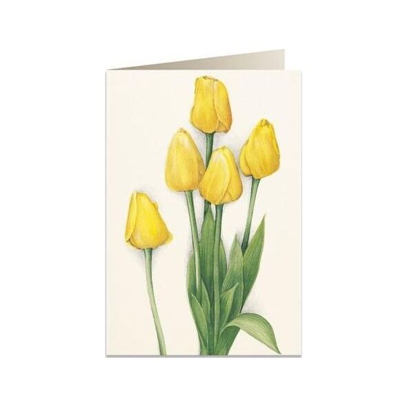 Tassotti Karnet B6 + koperta 7516 Żółte tulipany