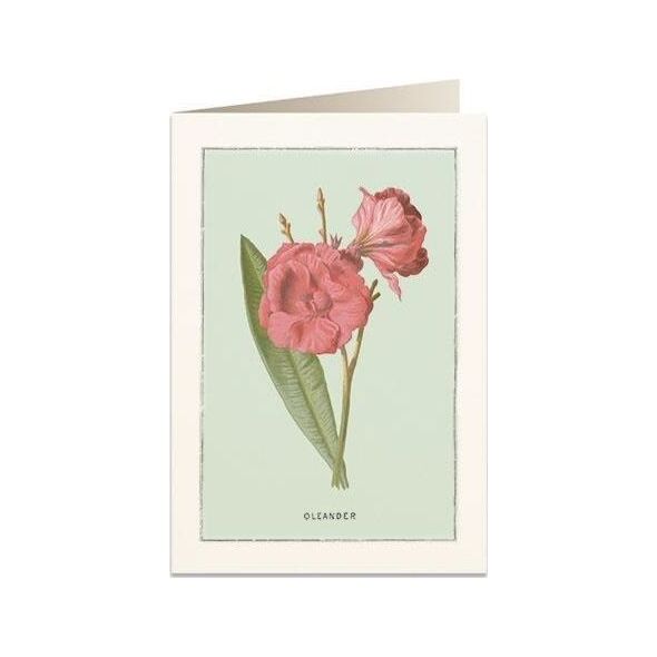Tassotti Karnet B6 + koperta 6023 Oleander