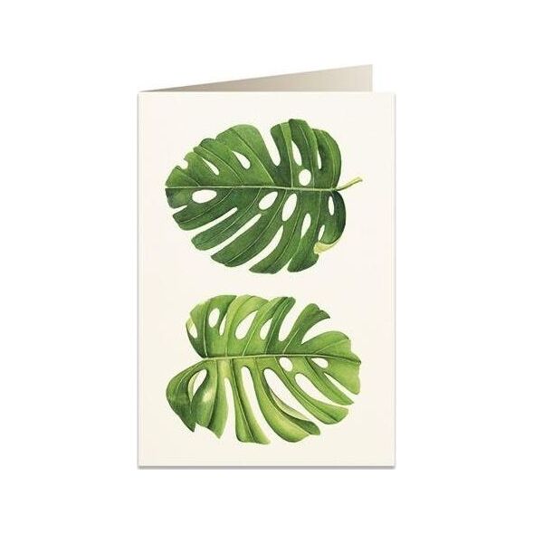 Tassotti Karnet B6 + koperta 6015 Monstera
