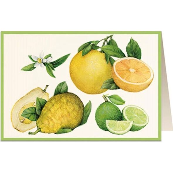 Tassotti Karnet B6 + koperta 5851 Cytrusy