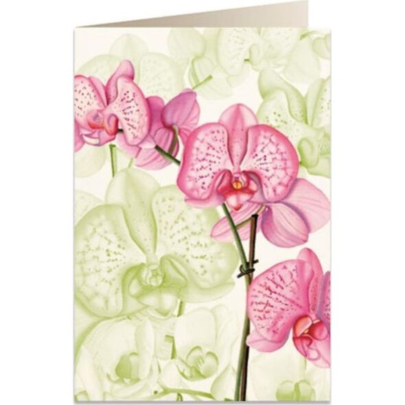 Tassotti Karnet B6 + koperta 5722 Różowa orchidea