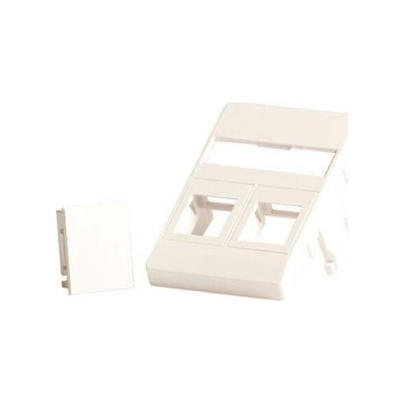 Lanview Wall plate 2 x keystone for