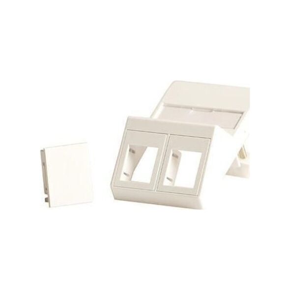 Lanview Wall plate, angled, for 2 x