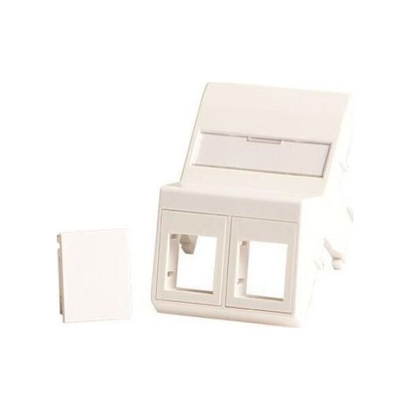 Lanview Wall plate, angled, 2 x