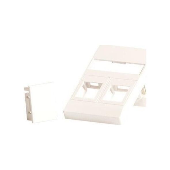 Lanview Wall plate for 2 x keystone.