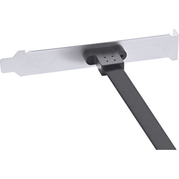 InLine Wspornik z portem USB-C 3.1 (33446H)