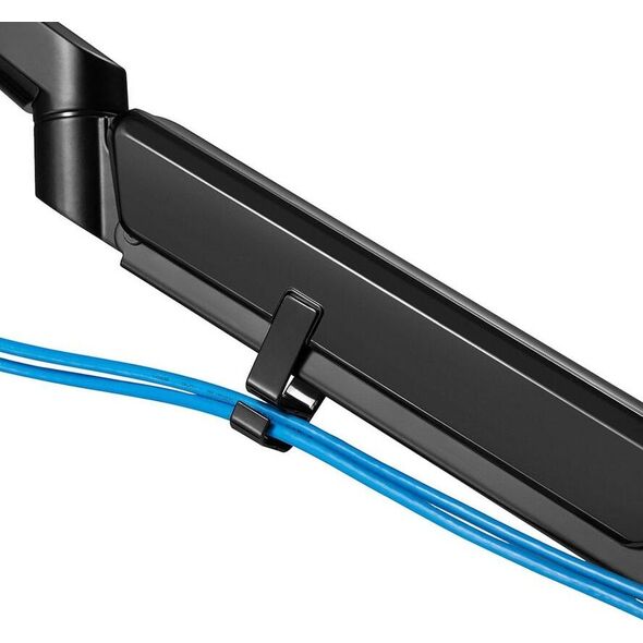 Neomounts Uchwyt biurkowy na monitor 17" - 32" (DS70-810BL1)