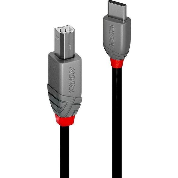 Kabel USB Lindy USB-C - USB-B 2 m Czarny (36942)