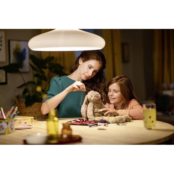 Philips Philips LED Bulb E27 2-Pack 7W (60W) 2700K 806lm Vintage