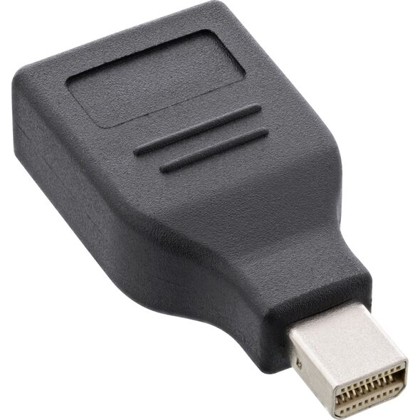 Adapter AV InLine DisplayPort Mini - DisplayPort czarny (17196B)