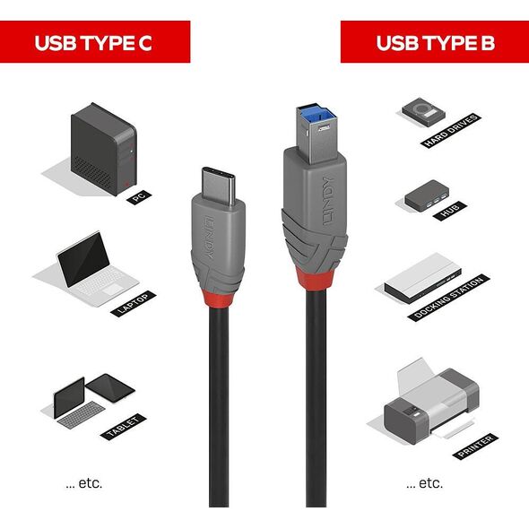 Kabel USB Lindy USB-C - USB-B 1 m Czarny (36666)