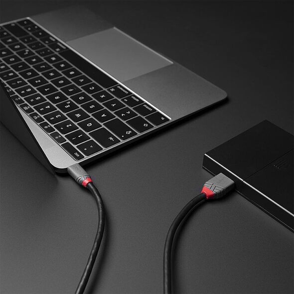 Kabel USB Lindy USB-C - micro-B 1 m Czarny (36621)
