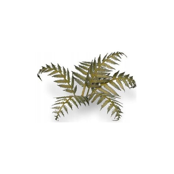 Gamers Grass Gamers Grass: Laser Plants - Bracken - Paproć