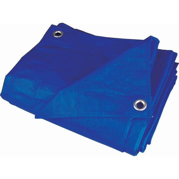 Plandeka Dedra 500 cm  x 300 cm 60 g/m2
