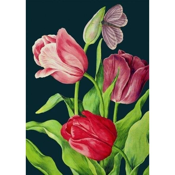 Madame Treacle Karnet B6 z kopertą Tulipany nocą