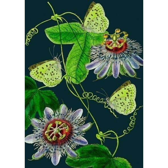 Madame Treacle Karnet B6 z kopertą Passiflora nocą