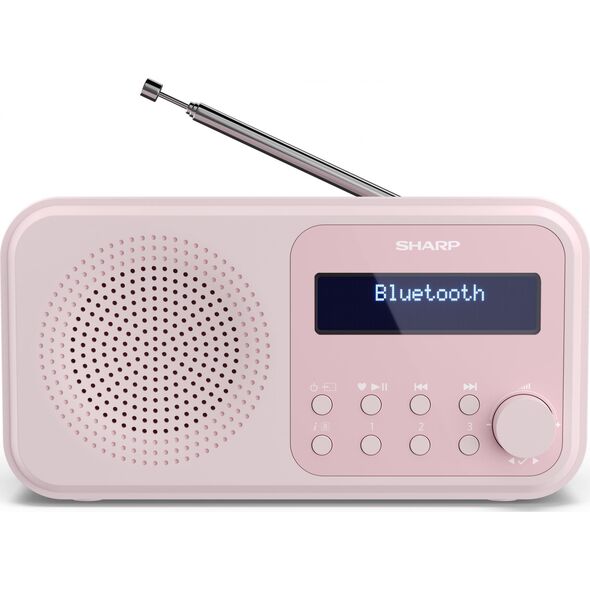 Radio Sharp DR-P420(PK)