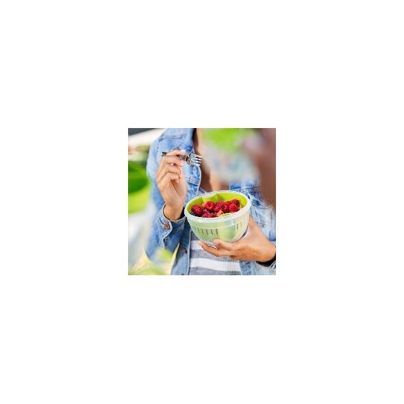 Emsa EMSA Clip&Go Fruit bowl 1,1 L