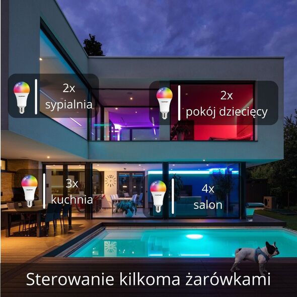Blaupunkt Blaupunkt Żarówka LED E27 9W Smart WIFI 3000K-6500K Multicolor