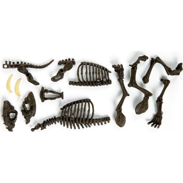 Clementoni Clementoni Smilodon Zbuduj szkielet tygrysa ZA3713